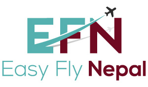 TEasy Fly